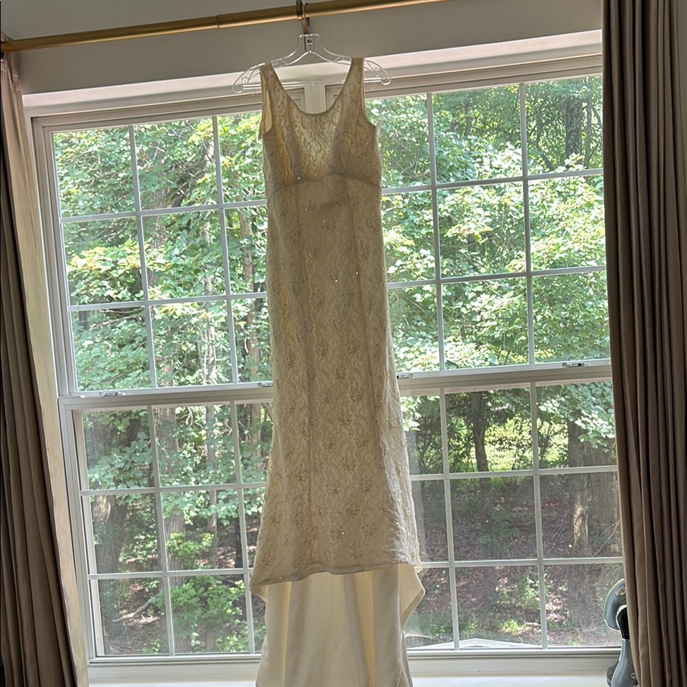 Elegant Cream Lace and pearl Gown